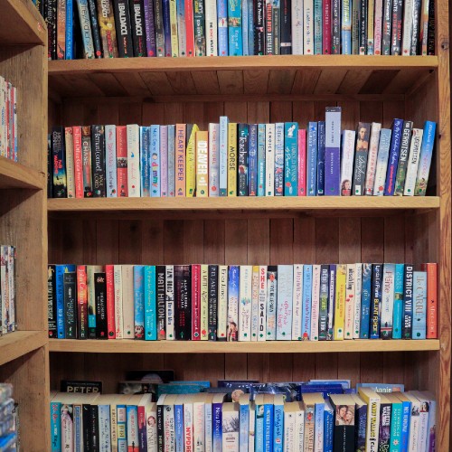 Bookshelves full of books