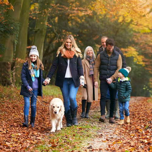 A small family going on a fundraising walk through a forest in autumn.
