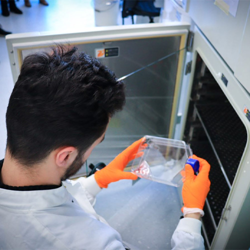 A close up of a scientist using equipment in the laboratory.