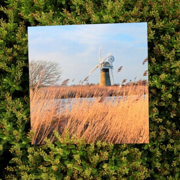 A greetings card with a photo of a windmill on the broads, with reeds blowing