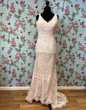 Blush dress with lace netting detail front