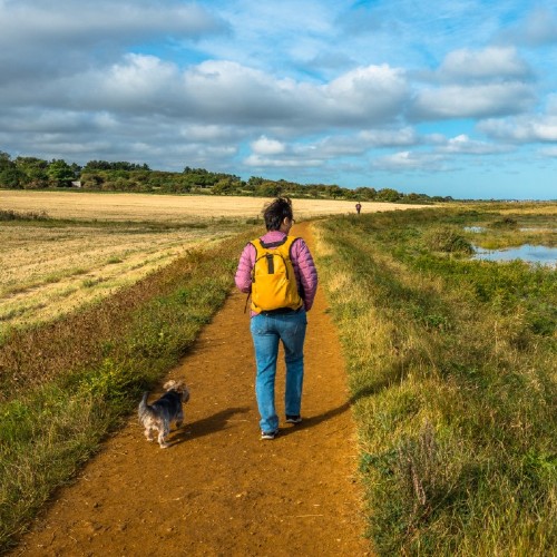 A person walking along Morston salt marshes in North Norfolk wth their dog